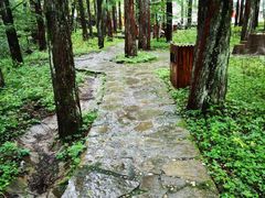 -黎坪国家森林公园