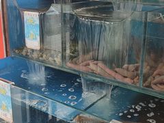 -小郭私房菜·海肠捞饭店(学士街店)