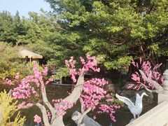 -河源客天下-温泉小镇