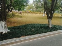 -东莞植物园