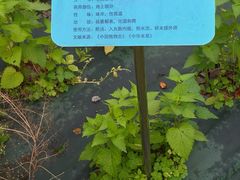 -广东中医药博物馆