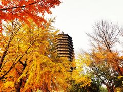 -玲珑塔公园