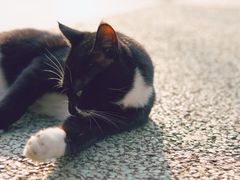 -苏州河梦清园环保主题公园