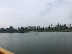 -白鹭湾湿地公园