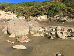 -摩拉基大圆石