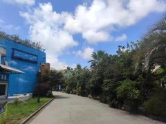 -平湖九龙山乐满地水上乐园