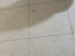 -宴全牛粤来越牛潮汕鲜牛肉火锅(海州万达广场店)