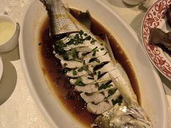 -金美华轩(东方路齐鲁店)
