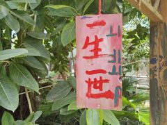-呀路古热带植物园