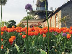 -上海鲜花港