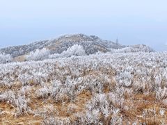 -阳台山自然风景区