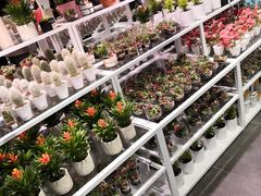 -KKV(深圳宏发大仟里店)