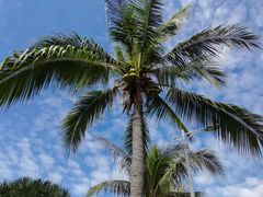 -三亚南山文化旅游区