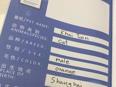 -申普宠物医院(总院)