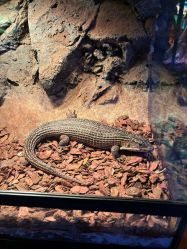 -酷嗒动物文化乐园(cutezoo西溪乐天城店)