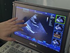 -pd派德宠物中心医院24H急重症·眼科中心·血液透析中心(嵩山北路店)