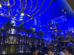 -老板恋上鱼(恒隆广场店)