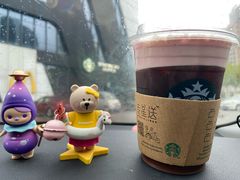 樱花冷萃-星巴克(湖州梅地亚广场店)