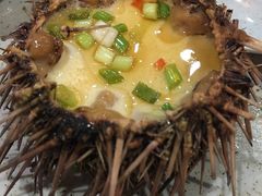 海胆蒸蛋-映像威海·海鲜味道(市区店)