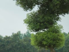 -山明水秀大饭店