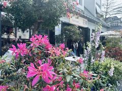 -花神·轻食简餐·咖啡馆·花卉绿植(荷兰花卉小镇店)