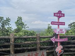 -海口火山口国家地质公园