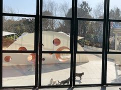 -同里国家湿地公园