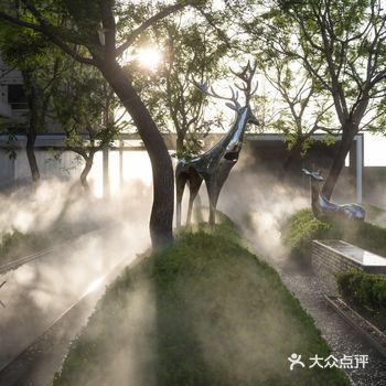 我们引入在地元素“南囿秋风”，打造一处“浮林秘境