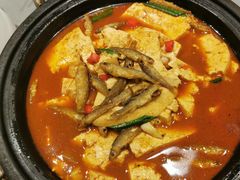 -宏宴·新京菜(望京店)