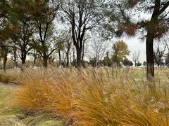 -汉长安城未央宫国家考古遗址公园