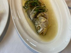 -老洋房花园饭店(绍兴路店)