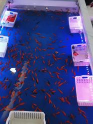 -孩子王童乐园(资阳万达店)