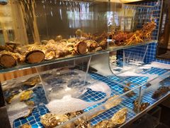 -江户前日本料理(瑞诗酒店店)