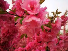 -首都师范大学(良乡校区)