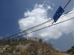 -白河湾生态旅游一条川