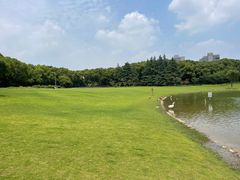 -黄兴公园