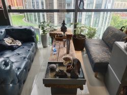 -周忆刺青原创设计定制