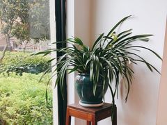 -荷风细雨·中国茶宴(碧云店)