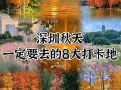 -深圳市中科院仙湖植物园
