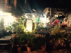 -Jungle Kitchen