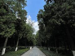 -灵谷景区