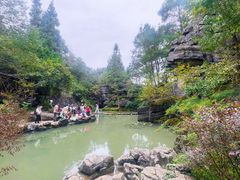 -梭布垭石林景区