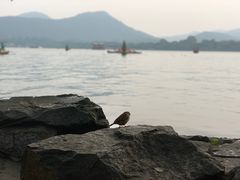 -西湖游船