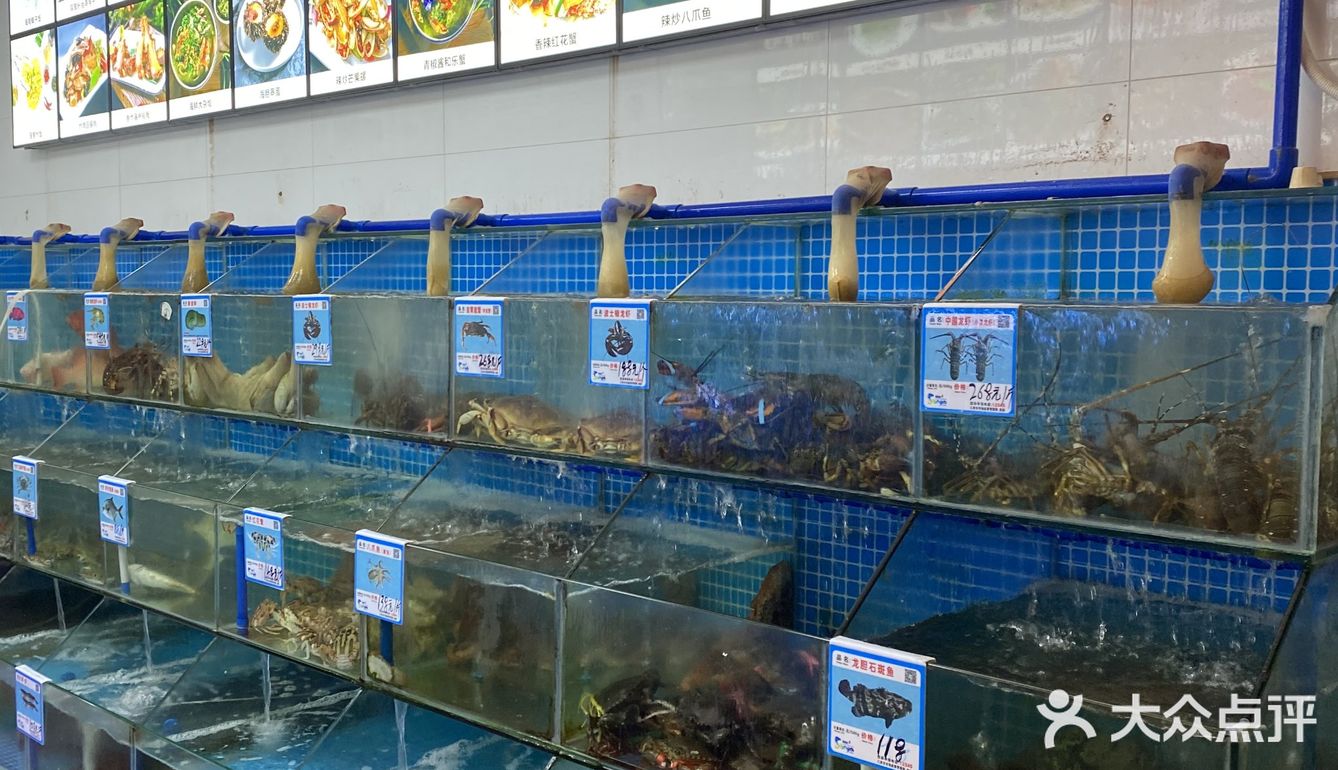 是二十三年老字号海鲜店。做了很多攻略