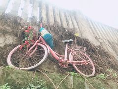 -石井坡(地铁站)