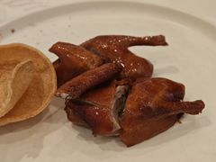 -粤珍轩·家宴·广式茶点(新城广场店)