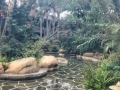 -昆明柏联SPA温泉
