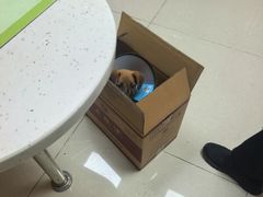 -瑞鹏宠物医院·眼科·皮肤·中兽医(大悦城分院)