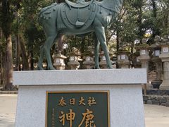 -奈良公园