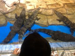-顺德南宏海立方海洋公园